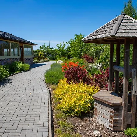 Amenity Guest house